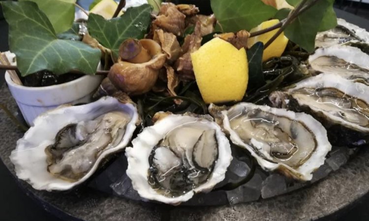 Bar à huîtres et fruits de mer à Plaisance-du-Touch 
